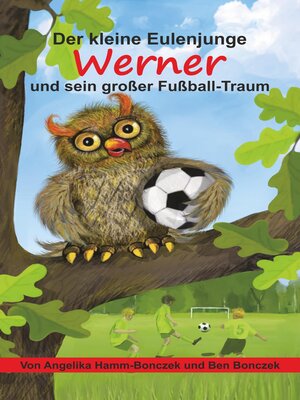 cover image of Der kleine Eulenjunge Werner und sein großer Fußball-Traum
